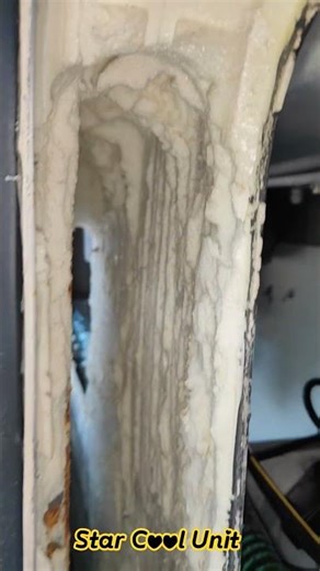 Star cool Reefer Container. Machinery unit without foaming removed condition...🤔 #reefer