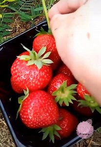 1.4M views · 131K reactions | Mother Nature's Gift <3 | Goblin Couple | Facebook