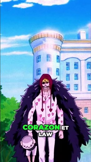 Corazon et Trafalgar Law : Une histoire touchante !