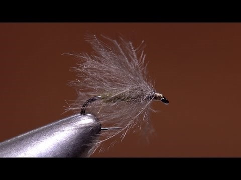 Puff Daddy Blue-Winged Olive