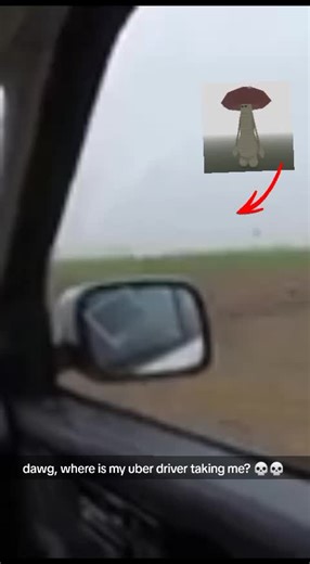 Guía de Pilgrammed: Monturas, Clases y Actualizaciones