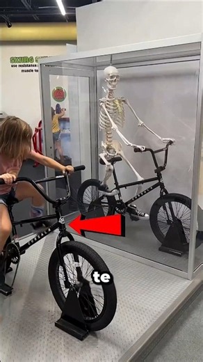 ¡Pedaleas y el Esqueleto También! 💀