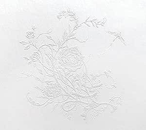 Aimer - 白色蜉蝣