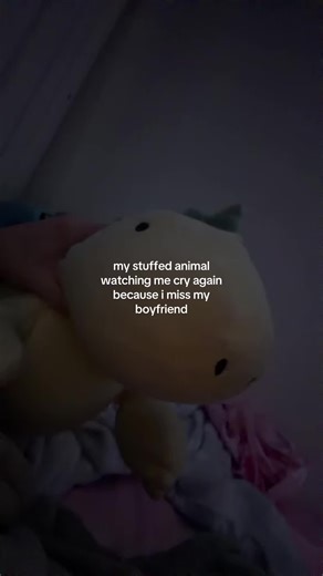 Coping with Longing: My Stuffed Animal Comforts Me