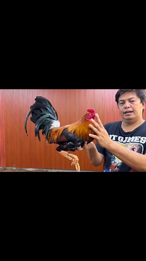 Galen Solamin Pacturan on Reels