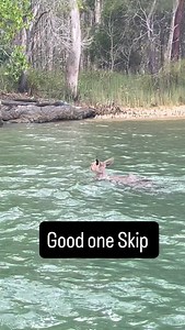 1.4K views · 37 reactions | Fishing on the Hobie this morning check out what was on the side scan pretty cool  Good one Skip 輦輦輦 | The Hook and The Cook | Facebook