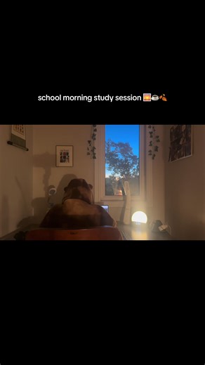 Join My Real-Time Study Session on YouTube