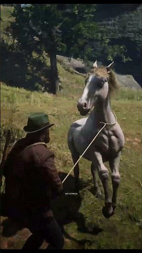 Andalusian Perlino Horse Location In Rdr2 #shorts #spdxstreamgaming #rdr2