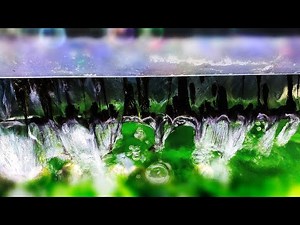 Aerobic vs Anaerobic vs Anoxic Filtration - Understanding Beneficial Bacteria - Filtration 101