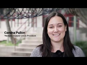 Waitangi Day - What Does The Treaty of Waitangi Mean to You?