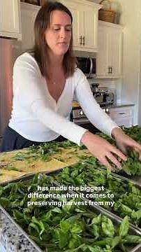 SEnd of Basil Season How to Harvest, Preserve & Freeze Dry Fresh Basil for Winter Cooking