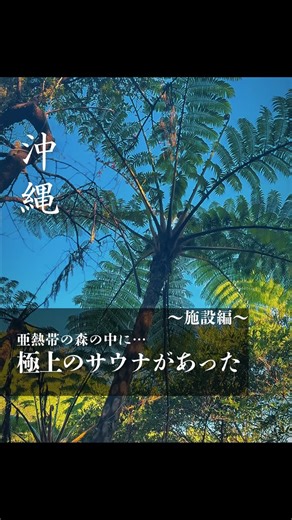【沖縄散歩日記】 on Instagram: "【亜熱帯の森にある極上サウナ】 亜熱帯サウナ 〒905-0221 沖縄県国頭郡本部町伊豆味２５９９ スポットを訪れる際はマナーを守った行動をお願いします。 旅行に行った沖縄で、皆んなが知らない穴場スポットを巡りたいなら、フォロー🌺 気になったら [保存をタップ💾] を忘れずに💭 For foreigners The city of Okinawa in Japan is not well known to foreigners, but it has many attractive places. • historic buildings • Delicious food from ancient times • Nature that captivates your heart If you come to Japan, please come and visit Okinawa. “普段見慣れた、沖縄の見方を変えよう” 「あれ？こんなところあったっけ？」 そんな小さな発見があなたの暮らしに幸せを感じさせる。散歩から始まる新たな世