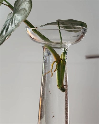 1.8M views · 124K reactions | New chapter. Blank page. Endless possibilities. Write a story you love in 2025. | BetterHelp | Facebook