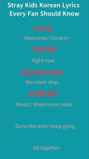 Stray Kids Korean Lyrics Every Fan Should Know