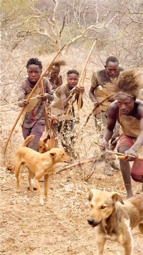 They Saw a Fight in the Trees… Then They Made Their Move! 😱🌳 | Bush Awareness