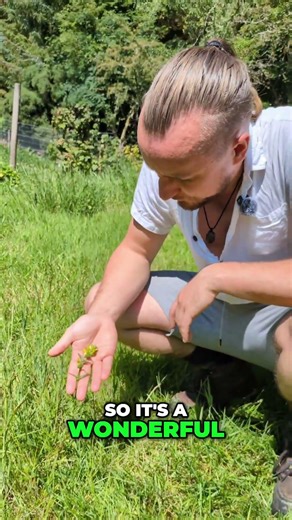 How to Reduce Grass Naturally