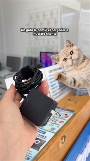 Smart Bros! | Servicio y Reparación de Smartphones on Instagram: "Un GATO 🐈‍⬛ le comió el CARGADOR a nuestro cliente 🤯🥸 #informatica"