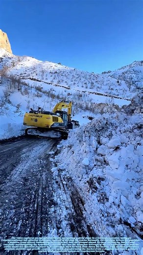 Shovel-Skating: The Unconventional Art of Controlled Descent