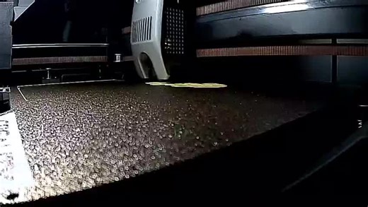 Capybara Adventures: The Charm of 3D Printed Friends