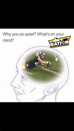 Still Hurts… It Was A Catch #steelers #pittsburghsteelers #jessejames #football