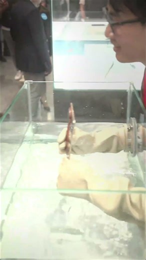 HONOR Magic V6 Water Test 2026 #honor #honormagicv6 #p0wer0ftech