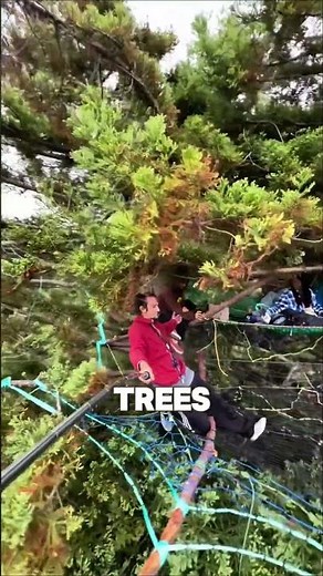 This Guy Builds Giant Spider Webs in Trees!