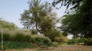 Time-lapse of Wadi Hanifa Park, Riyadh, Saudi Arabia