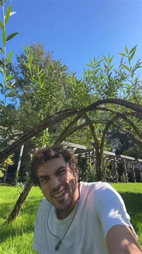 Ever dreamed of building a living hideout right in your backyard? 🌿🌾 This is your guide to creating a mini willow dome that grows stronger with every season. It is more than a garden structure. It is a living sculpture made from flexible willow rods, woven by hand and powered by nature. After just one year, these rods can stretch nearly a meter long. When bundled in groups of three or four and woven with intention, they form a dome that is sturdy, stunning, and completely alive. The weaving me