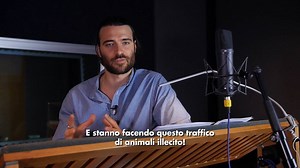 Giulio Berruti e il suo yorkshire Dante vi aspettano dal 10 maggio al cinema con il film #ShowDogsEntriamoInScena... Ne vedrete delle belle! | Show Dogs - Entriamo in scena