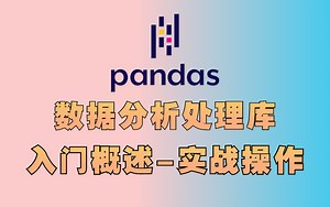 别再瞎学了！这个视频教你3小时玩转pandas数据分析！从入门概述到实战操作全集 收藏起来慢慢学！（Python数据分析丨人工智能丨numpy)