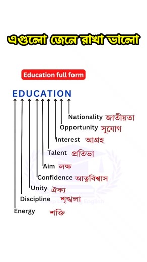 Understanding the Full Meaning of Education