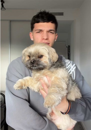 Conoce a Mi Nuevo Amigo Esponjita, el Perrito