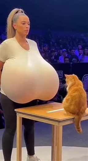 Cat flattens woman in slap contest! 💀 #cat #funnycat #funnyanimals #woman #catlife