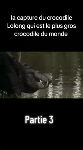 La capture du plus grand et gigantesque crocodile du monde baptisé Lolong #DocumentaireAnimaux #VieSauvage #TikTokNature #fyp