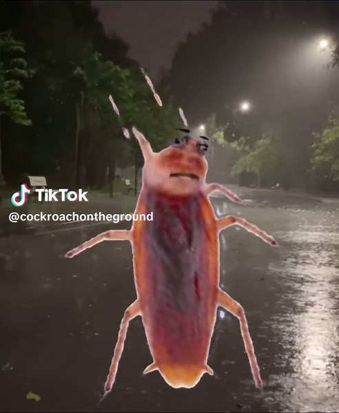 Unveiling the Mystery of the Burping Cockroach in the Rain