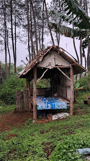 Deep Forest Isolation: Why I Love This Simple Hut #asmr #cabinbliss #forestambience