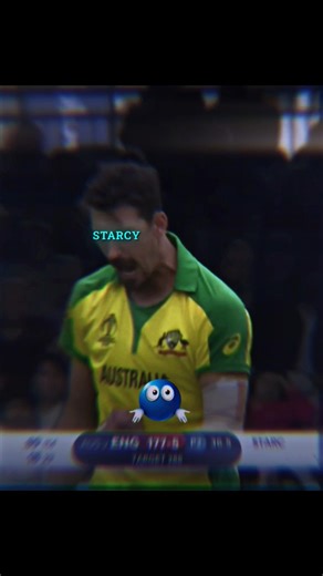 Starc 2019 CWC 🍷💀 - " Do Coracao ( Slowed & Reverb ) #cricket #shorts #starc