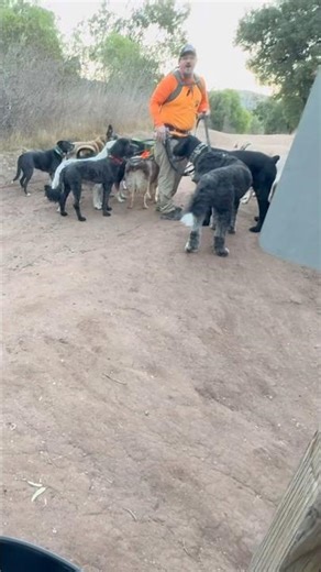 DOGEX: it finally happened today #dog #poop #shampoonatural #playgames #winprizes