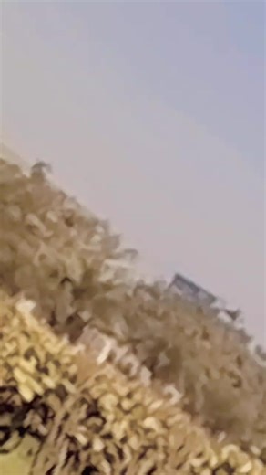 shoter 647 (@shoter647)’s videos with original sound - shoter 647