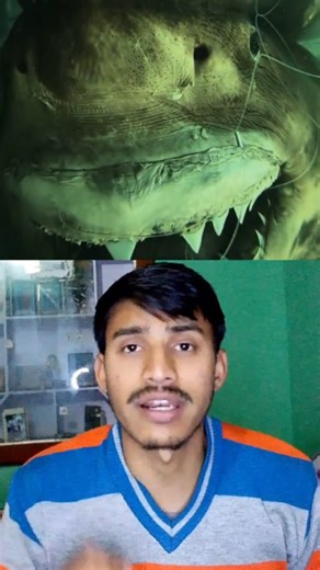 Nitesh Gusain on Instagram: "Rosie the Shark: Trapped, Forgotten, Exposed . . . Rosie the Shark was a 5-meter-long pregnant great white shark captured off the coast of South Australia in 1997. She was preserved in a formaldehyde tank and displayed at Wildlife Wonderland in Australia. When the park closed in 2012, Rosie was left abandoned for years, her tank deteriorating and her condition worsening. In 2018, a viral video exposed her forgotten state, triggering global attention and outrage. This