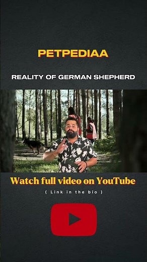 GERMAN SHEPHERD #petpediaa #PETPEDIAAGERMANSHEPHARD