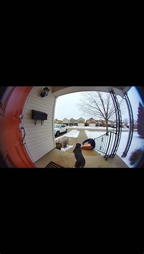 Mailbox Mayhem Caught on Doorbell Cam!