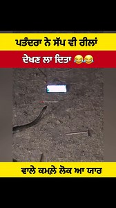 ਸੱਪ ਵੀ ਰੀਲਾਂ ਦੇਖਣ ਲਾ ਦਿੱਤਾ | Mr punjab Experiment