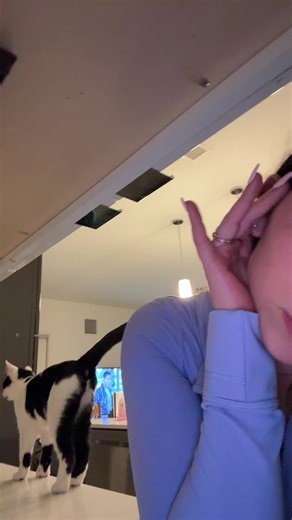 ameliaamystic (@ameliaamystic)’s videos with Windows Error - Windows