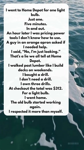 I Went to Home Depot for One Light Bulb…