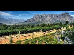 Interview with Tertius Boshoff of Stellenrust Wine Estate