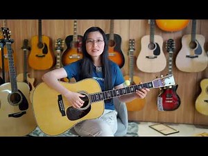 马丁Martin D45 review