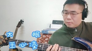 bass(cover)王心凌 大眠