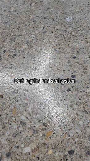3.4K views · 119 reactions | The best concrete sealer system. Gorilla grind and seal | New Jersey Decorative Concrete Supply | Facebook