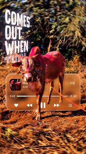 “Nowadays Everybody Is Chasing This… But Why?”#song#eminem#lyrics#music#trending #viral #bullracing